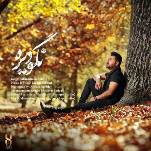 دانلود آهنگ نگو دیره مهدی شکاری